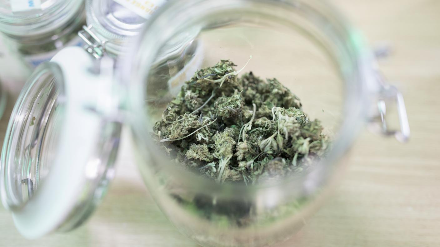 Nell'operazione italo-svizzera sequestrati otto chili di marijuana