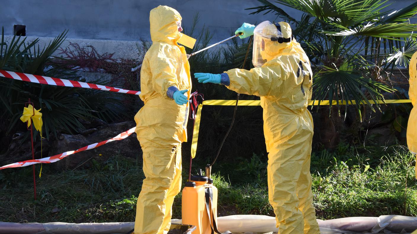 La malattia è molto contagiosa tra volatili