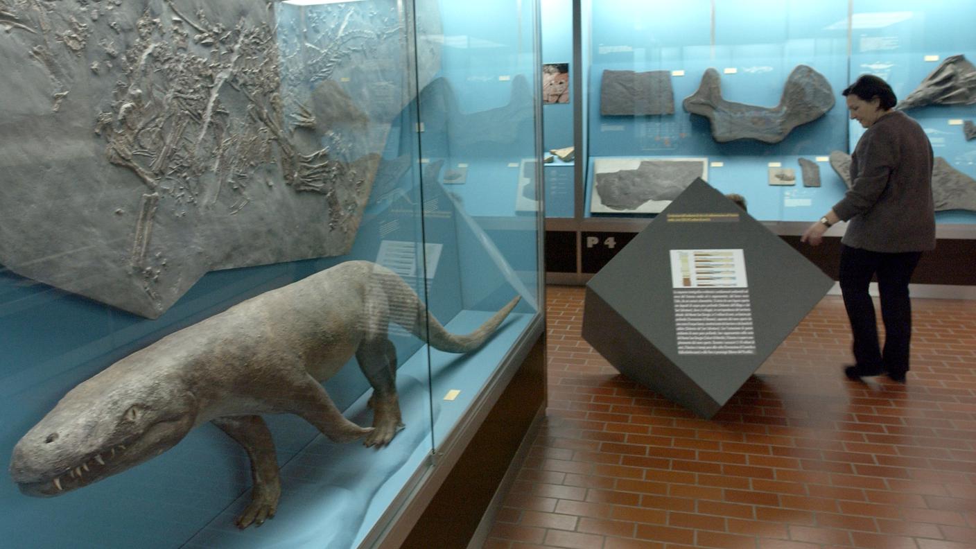 Il Museo di storia naturale non si fossilizza ma... si sposta