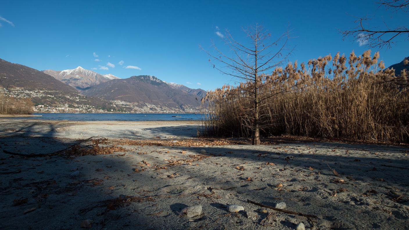 Lungolago nei pressi del Delta della Maggia