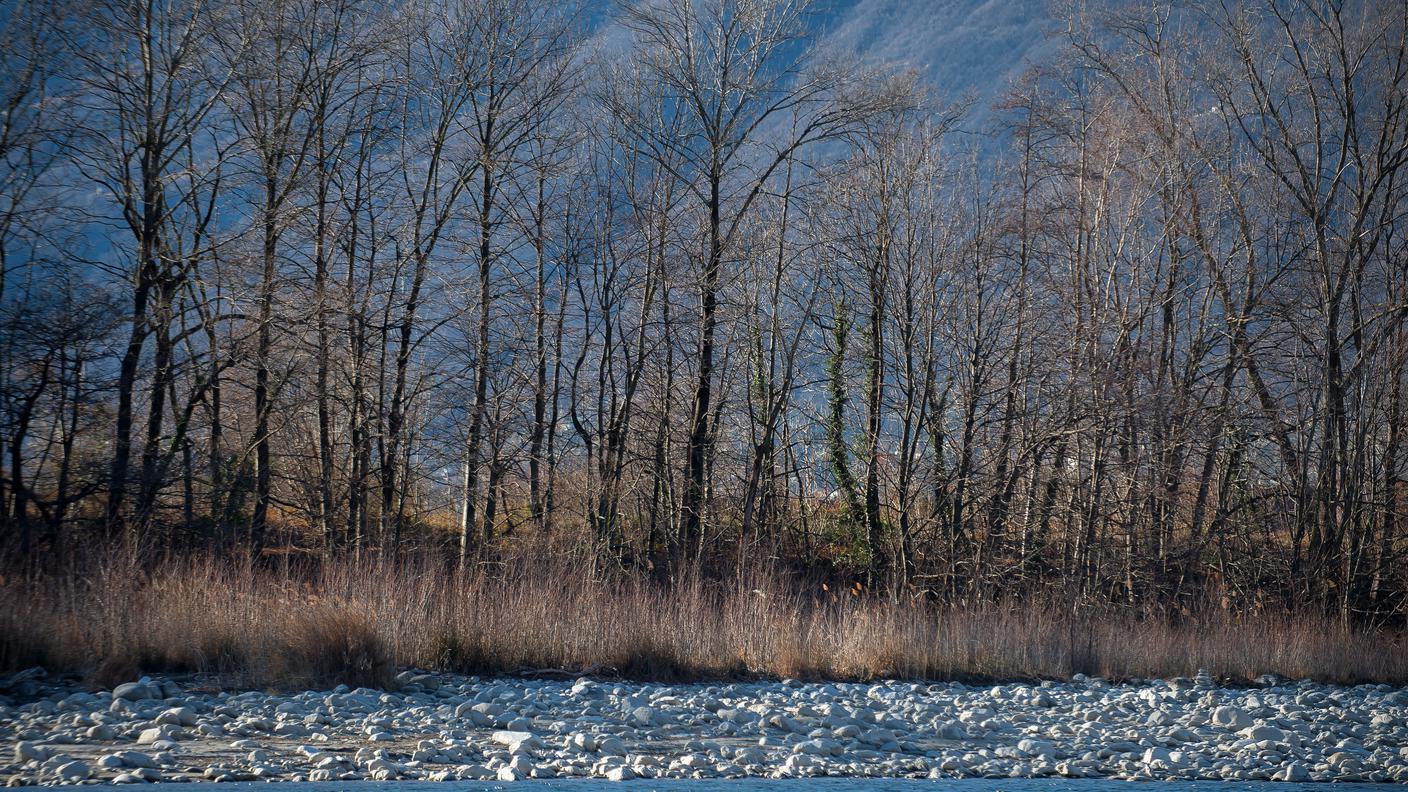 Veduta del Delta della Maggia