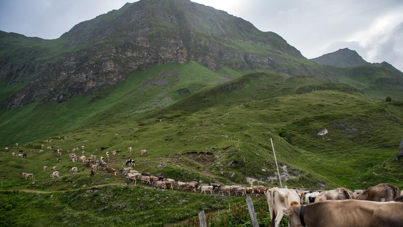 Sono un'ottantina gli alpeggi rimasti in Ticino