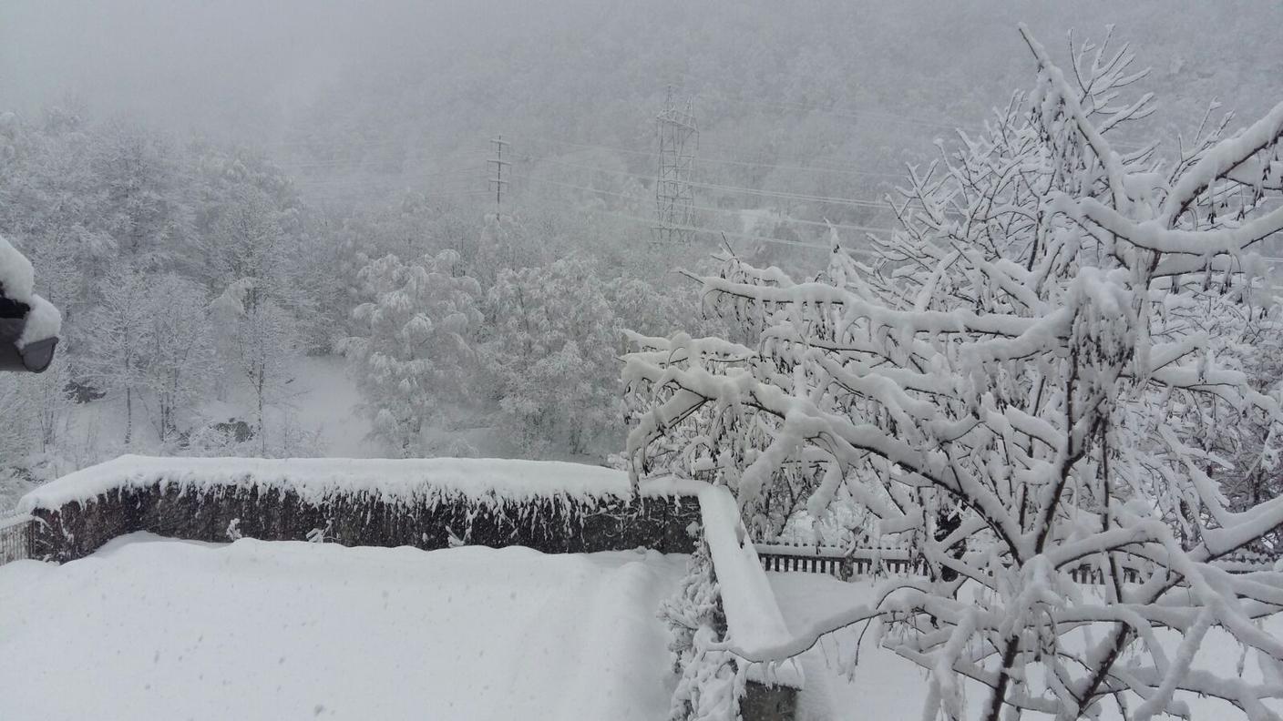 Ben diversa è la situazione in Val Bregaglia