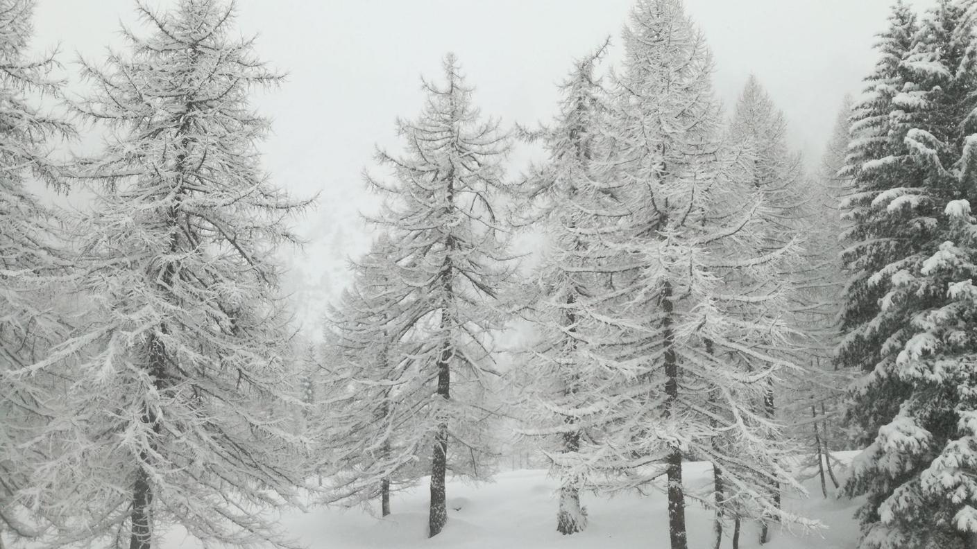 Le neve in Valle Bedretto