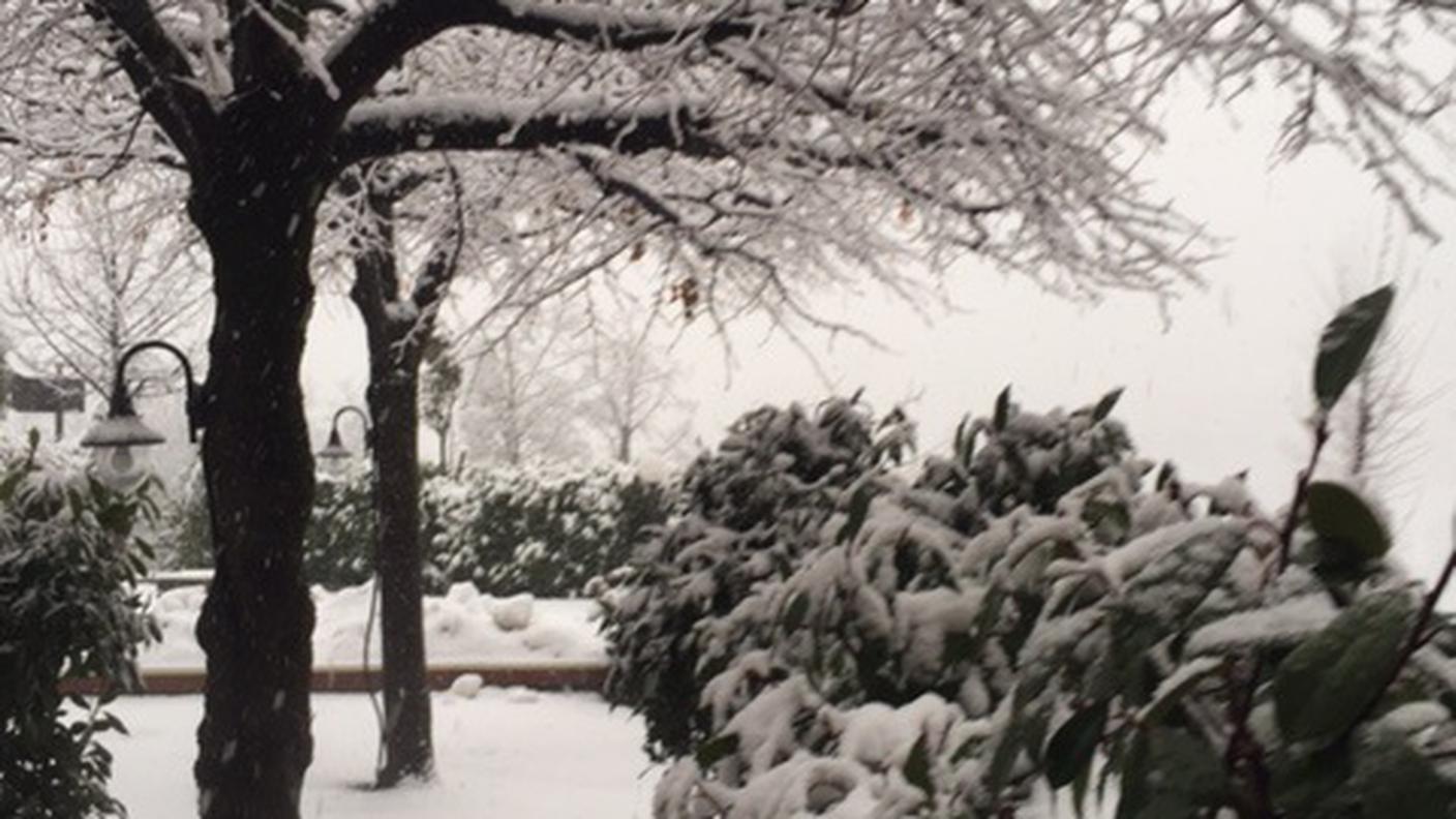 Neve a Sorengo