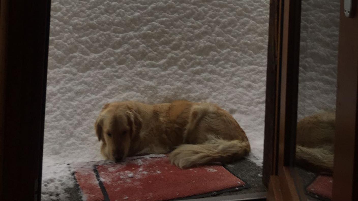 La situazione giovedì mattina a Cioss Prato