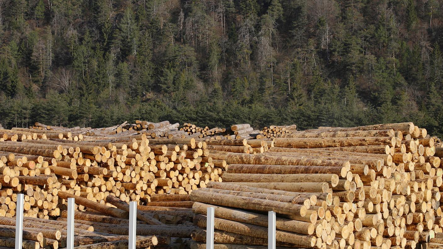 Legno stoccato presso un impianto di lavorazione nei Grigioni