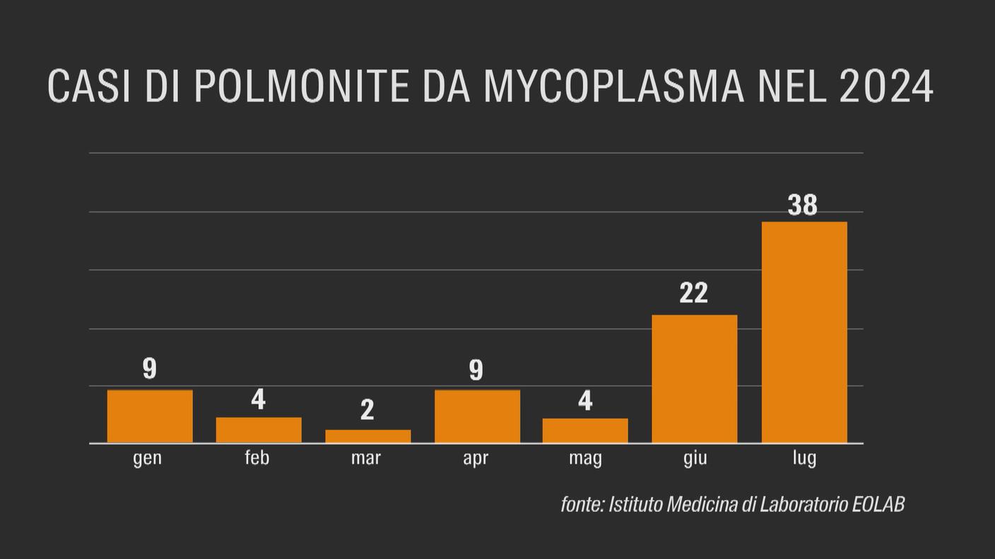 AT-CASI POLMONITE_0_1440.jpg