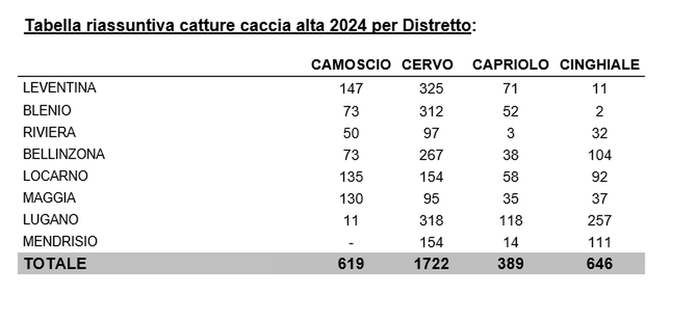 Caccia alta 2024