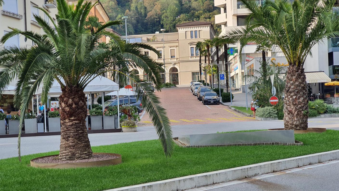 La zona toccata dalla riorganizzazione della viabilità.jpg