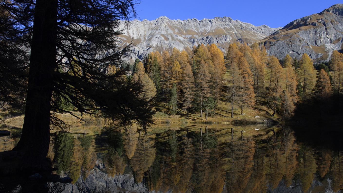 Il progetto suddivide in cinque parti le regioni forestali cantonali 