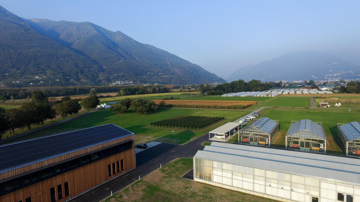 Il campus di ricerca di Cadenazzo in cui trova posto anche Agroscope