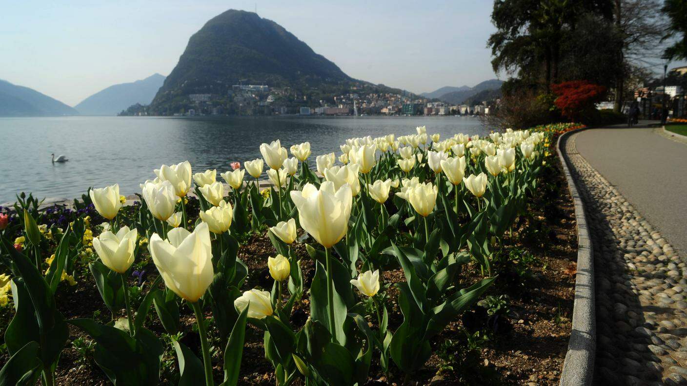 Il primo assaggio di primavera arriva in Ticino in concomitanza con questo weekend