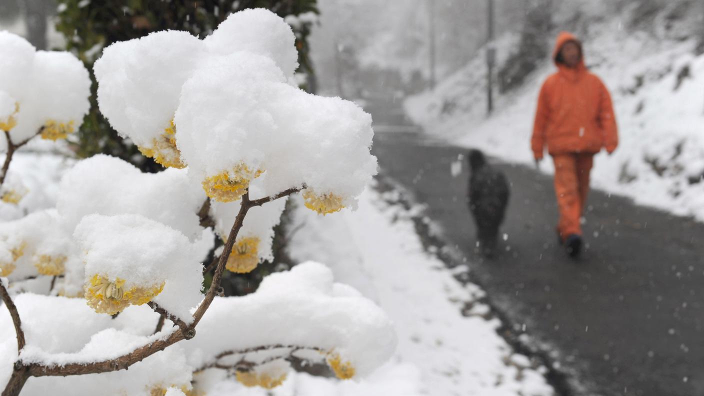 Neve, neve, neve