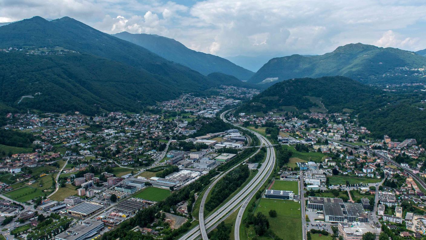 L'animale libero sull'A2 era giovedì mattina tra Lugano Nord e il tunnel della Collina d'Oro