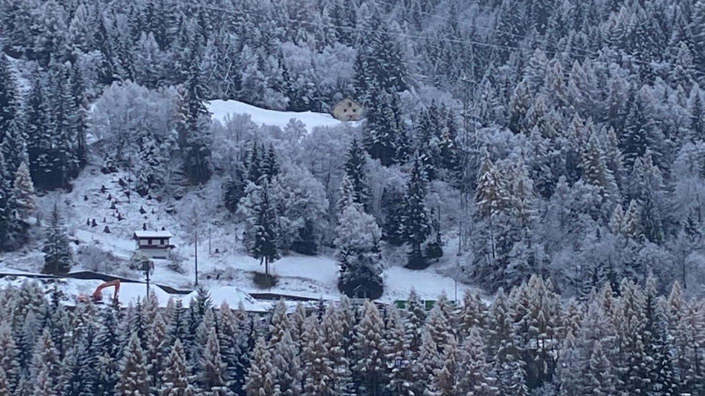 La pineta sopra Airolo.jpg