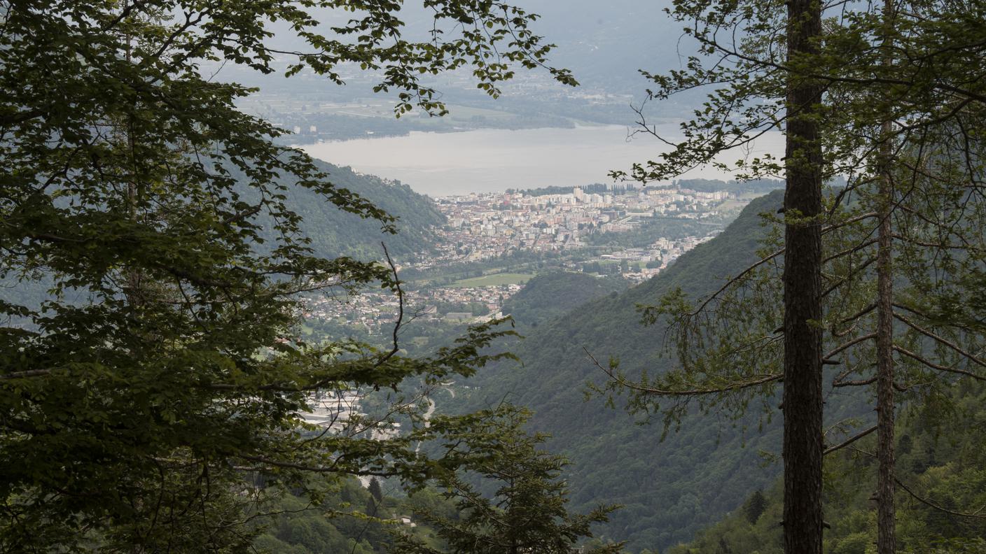 Vista dal Parco sull'agglomerato al piano