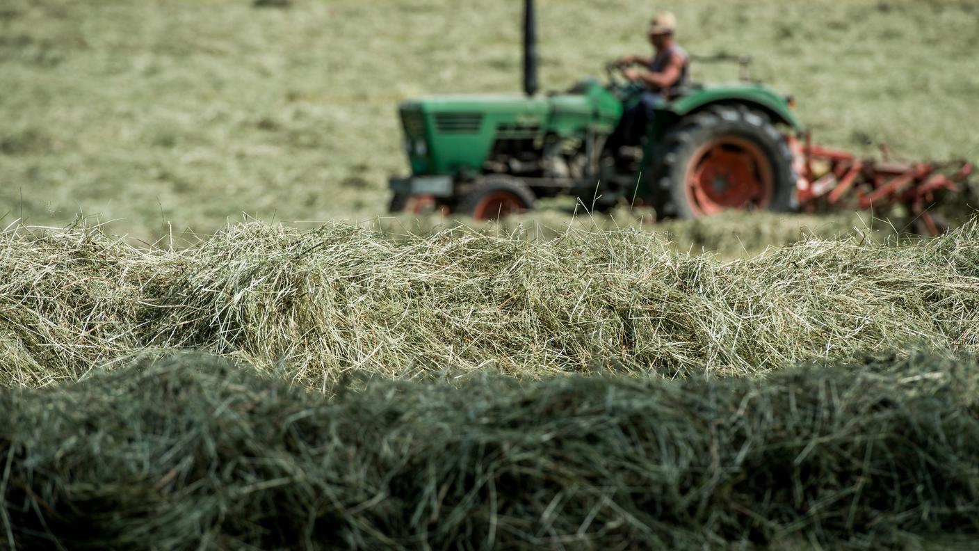 Riflettori puntati sull'agricoltura e non solo
