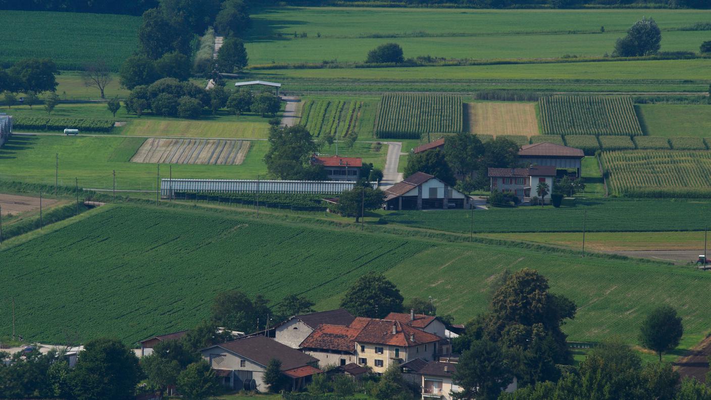 Il Parco del Piano di Magadino tra agricoltura e natura.jpg