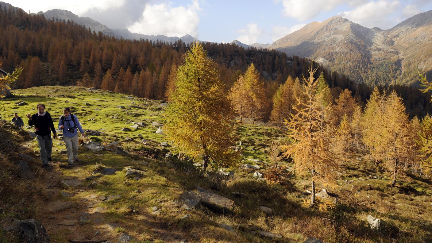 Valle di Vergeletto