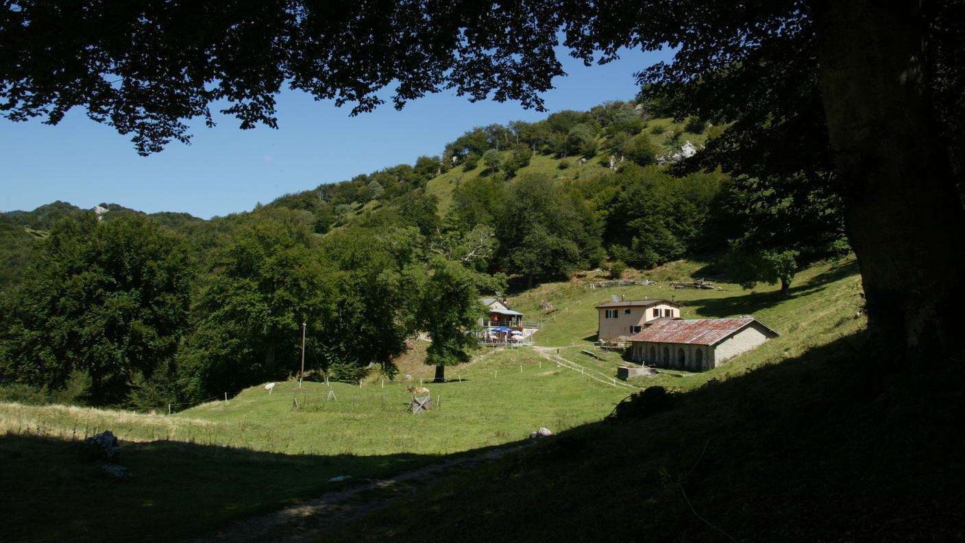 Il progetto sarà condotto in collaborazione con la Sezione forestale cantonale