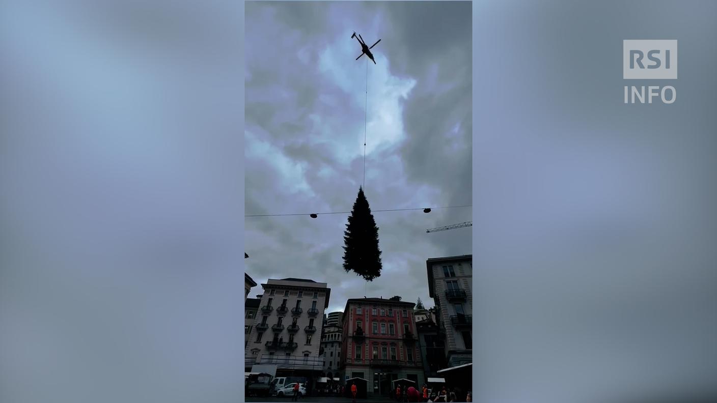25 novembre 2024: l'arrivo dell'albero di Natale in Piazza della Riforma