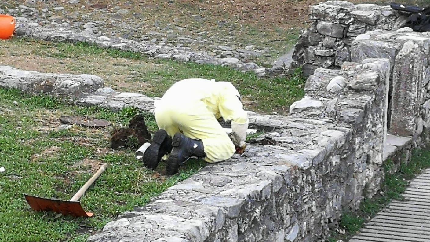 Specialista al lavoro
