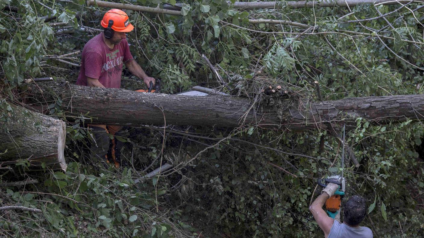 Pure a Cadro si dovranno rimuovere gli alberi caduti come avvenne a Sagno nel 2016
