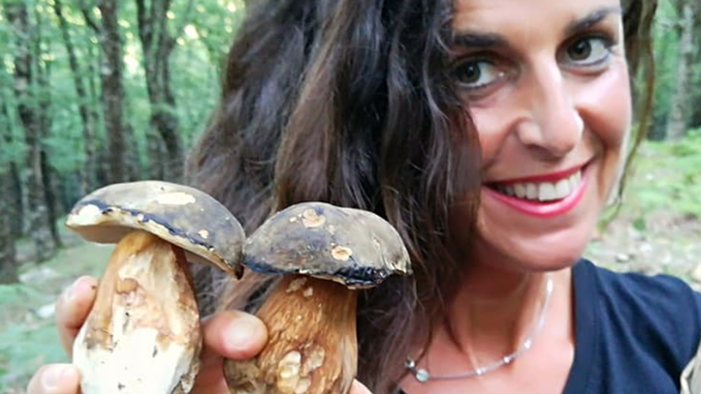 Funghi raccolti in questi giorni...