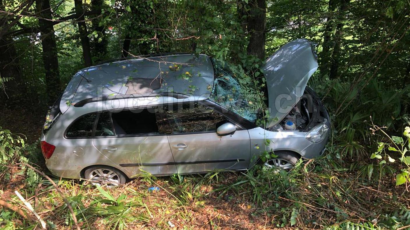 L'auto ha finito la sua corsa contro una pianta