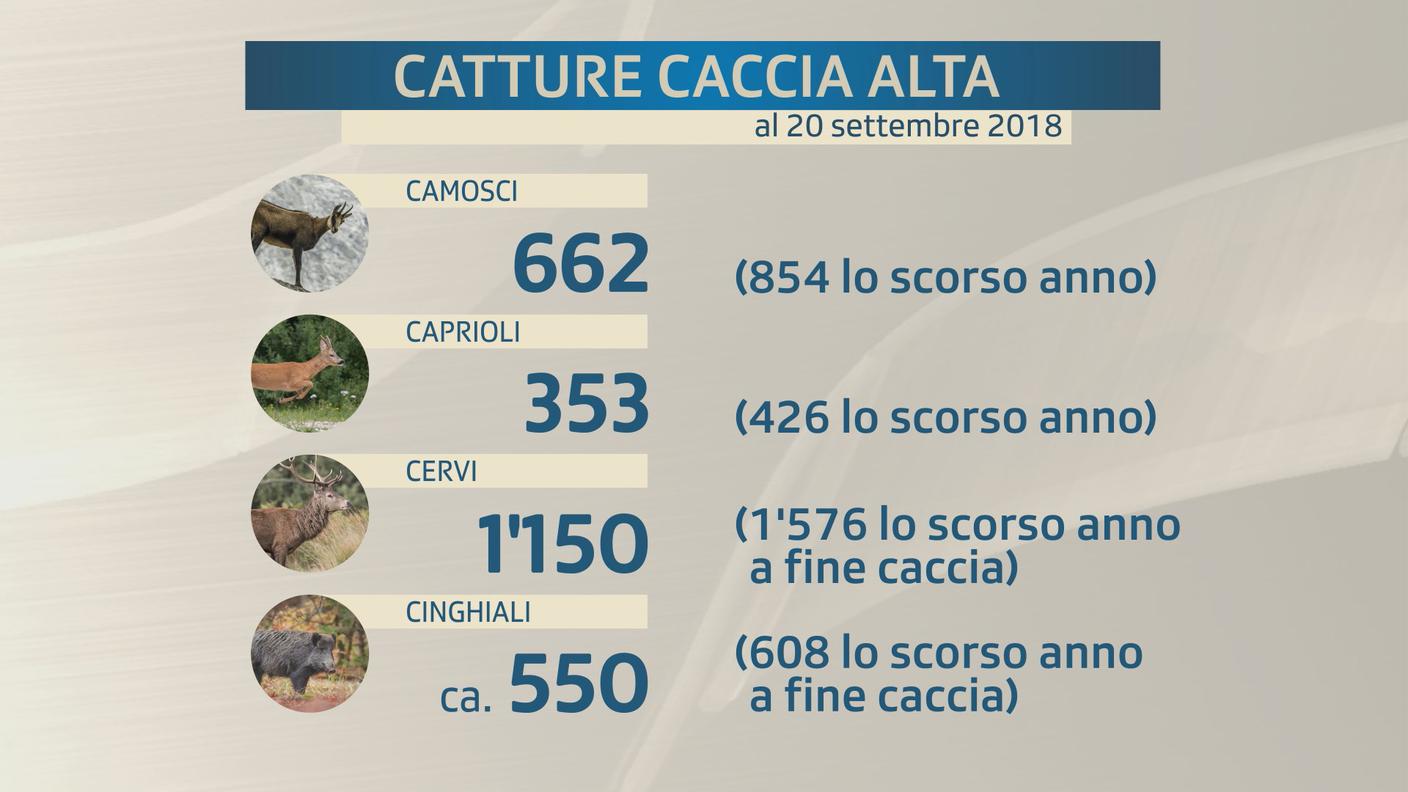 I numeri della caccia alta aggiornati al 20 settembre