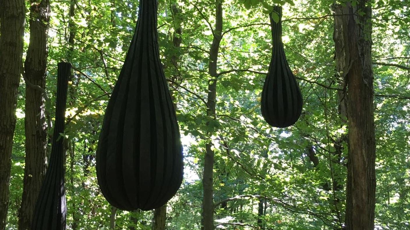 Una delle opere in evidenza nel bosco capriaschese da sabato 29 settembre
