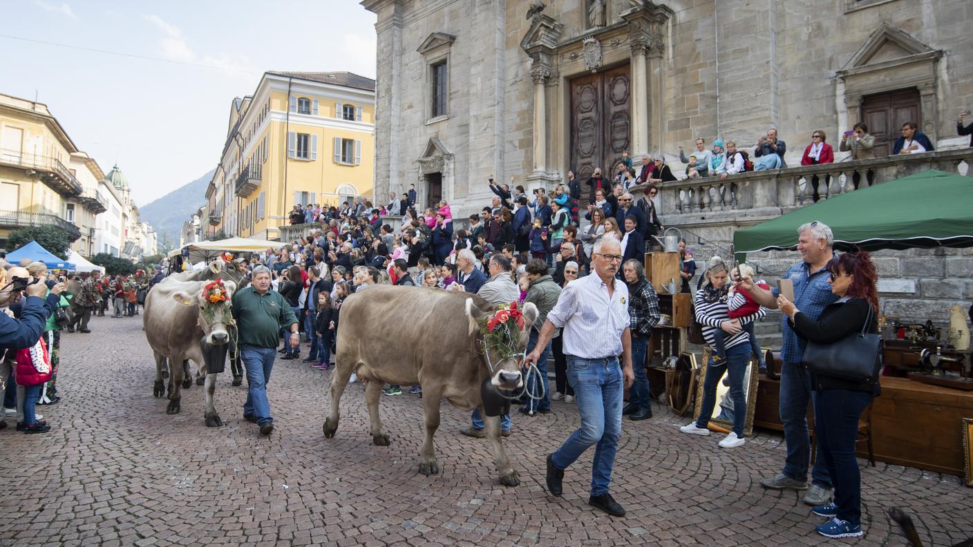 La rassegna d'autunno a Bellinzona