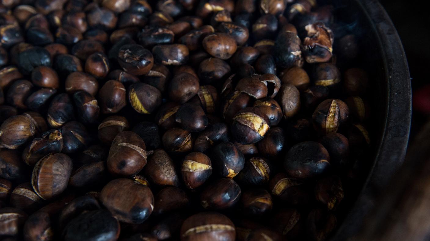 Sonvico: la tradizionale battitura e lavorazione delle castagne