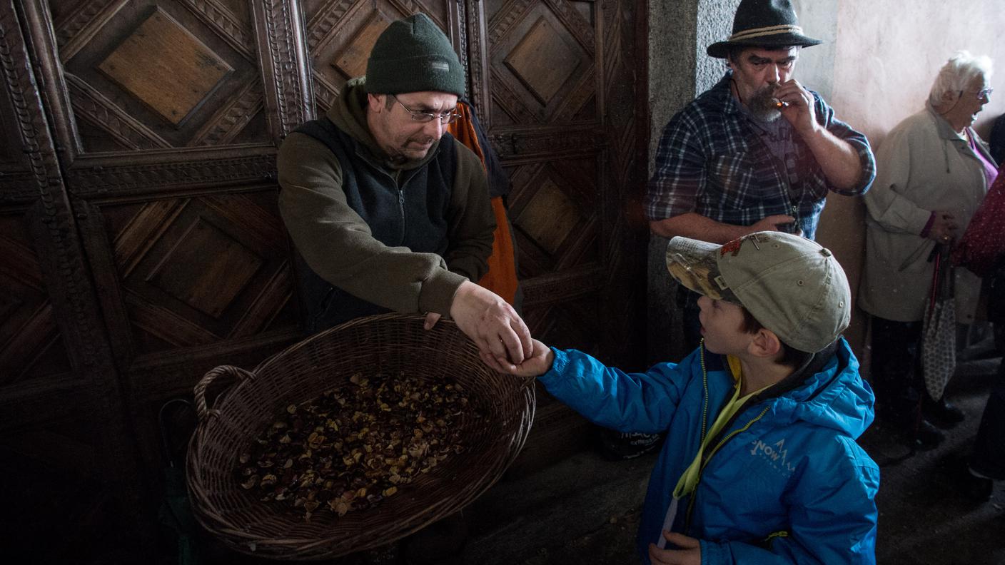 Sonvico: la tradizionale battitura e lavorazione delle castagne