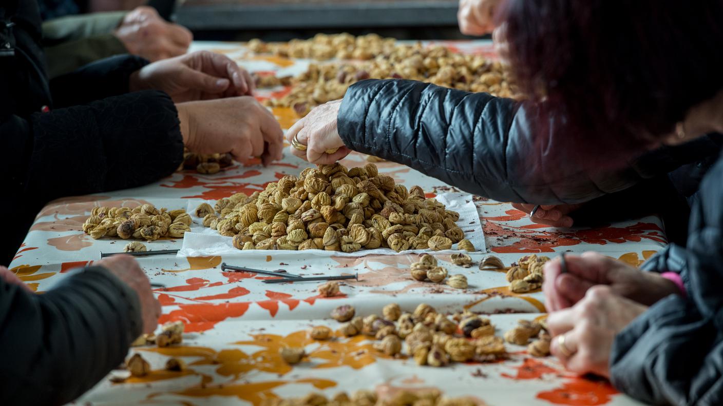 Sonvico: la tradizionale battitura e lavorazione delle castagne