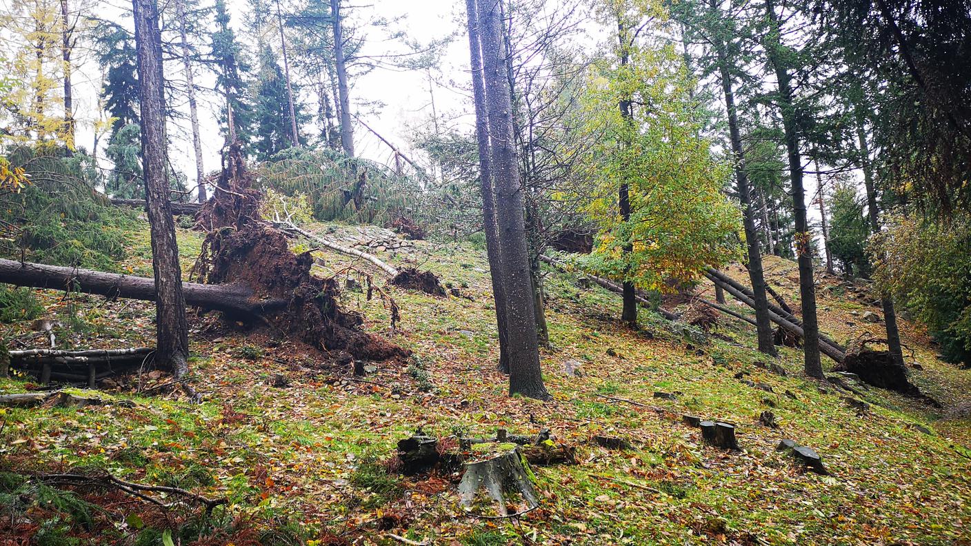 Il vento ha devastato l'area