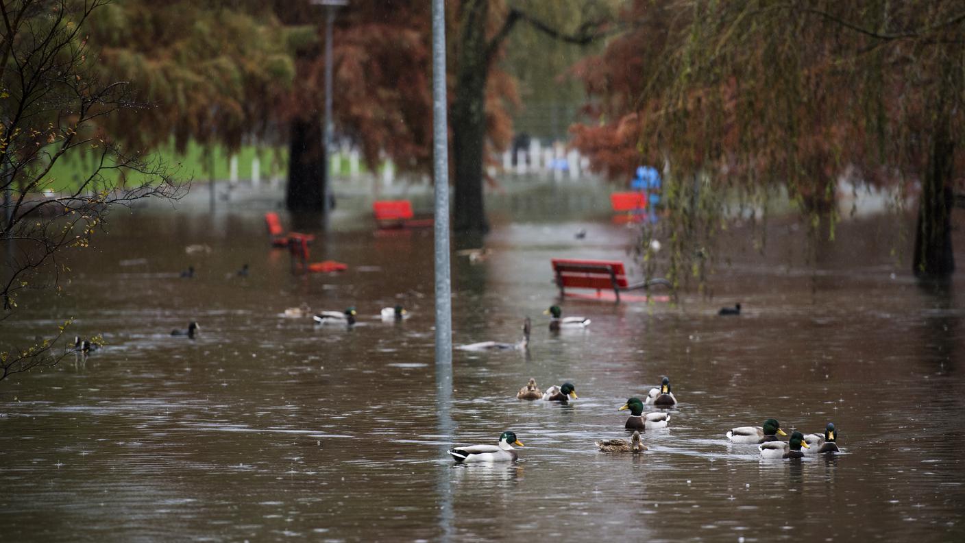 Uno scorcio del Lago Maggiore a Locarno nei pressi del Parco della Pace