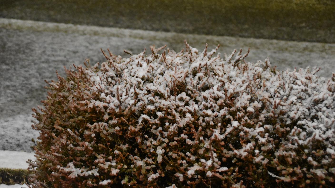Prima neve in pianura: un'immagine scattata nel Mendrisiotto