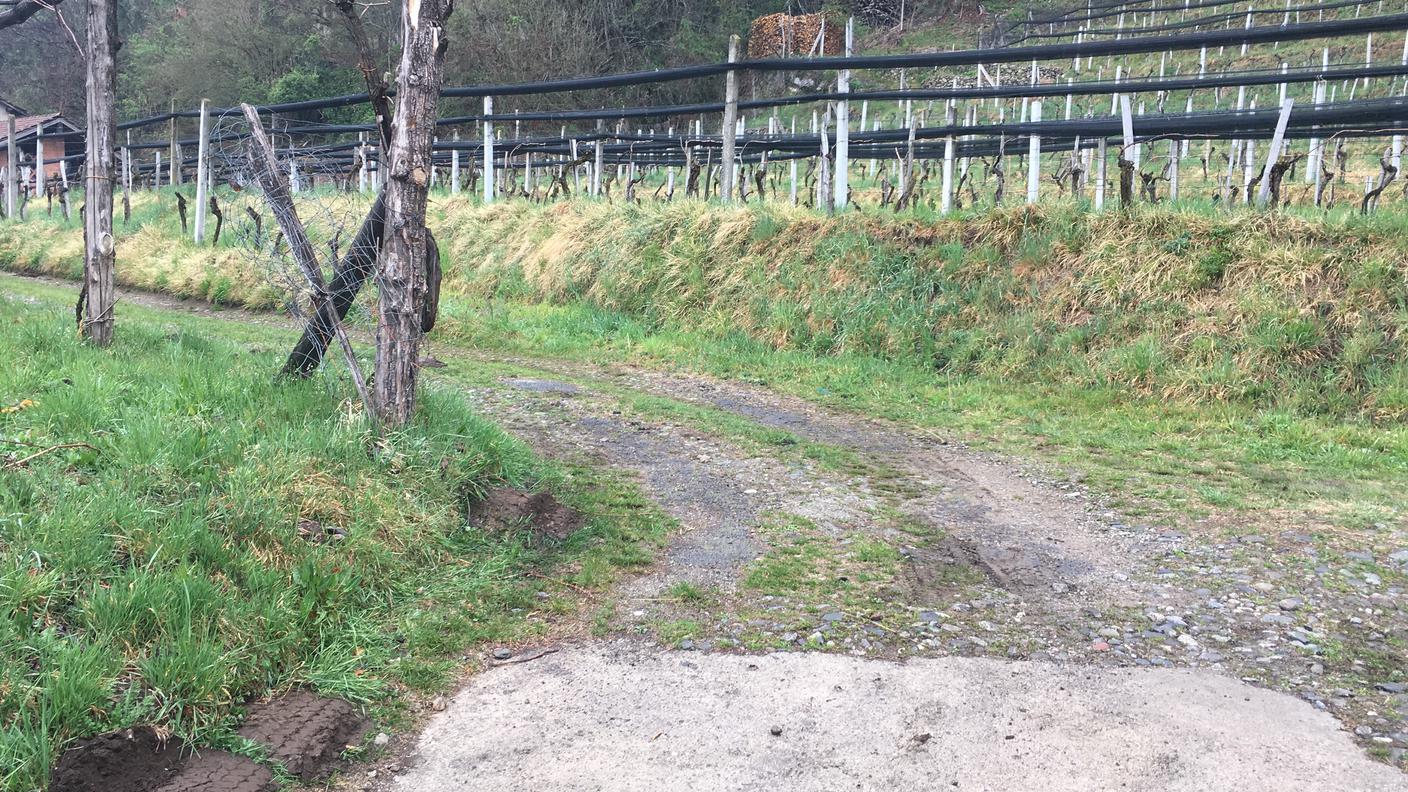 Il luogo dove è stata ritrovata l'auto usata dai malviventi, vicino al valico di Cassinone