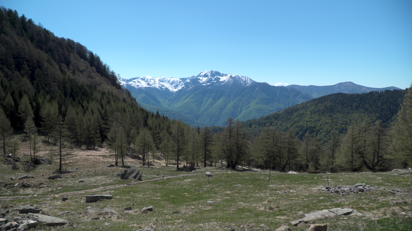 Il Camoghé e la Morobbia dall'Alpe Arami