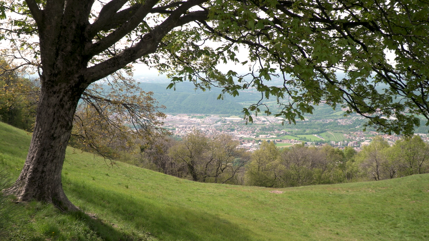 Il basso Mendrisiotto visto dall'Alpe Caviano