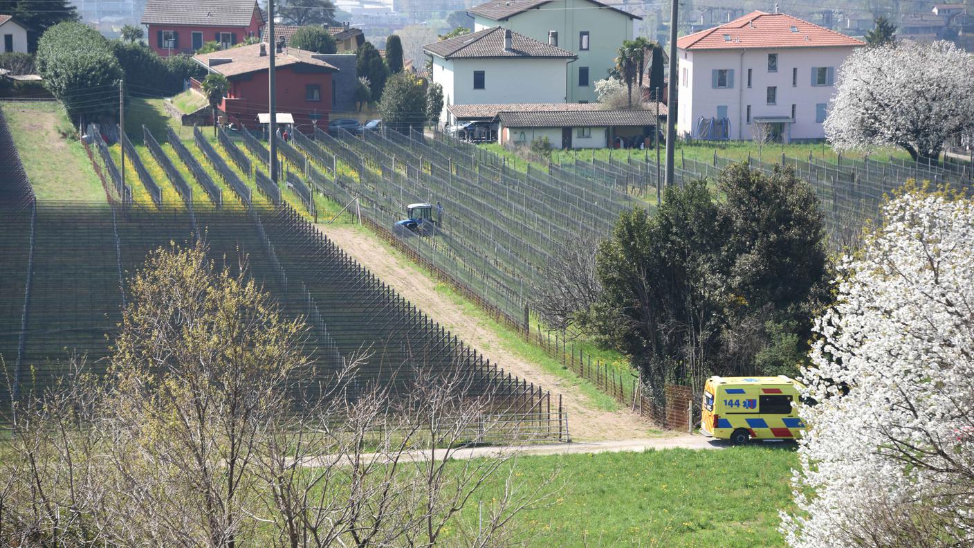 RM_Castel_San_Pietro_05042025_18_copia.jpg
