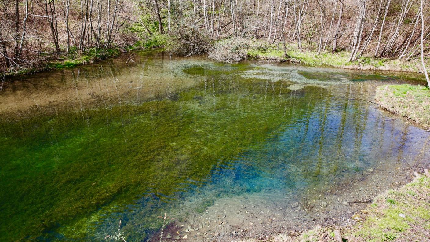 La Golena di Rosera