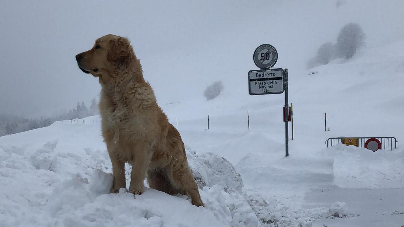 Una passeggiata tra la neve