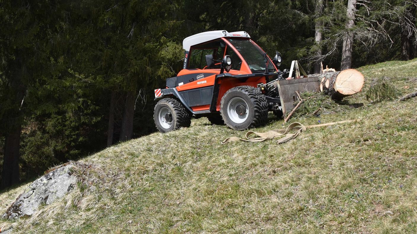 Il tronco appena tagliato è scivolato a valle