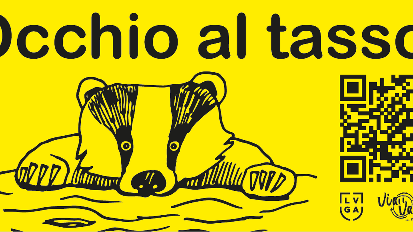 Cattura.PNG