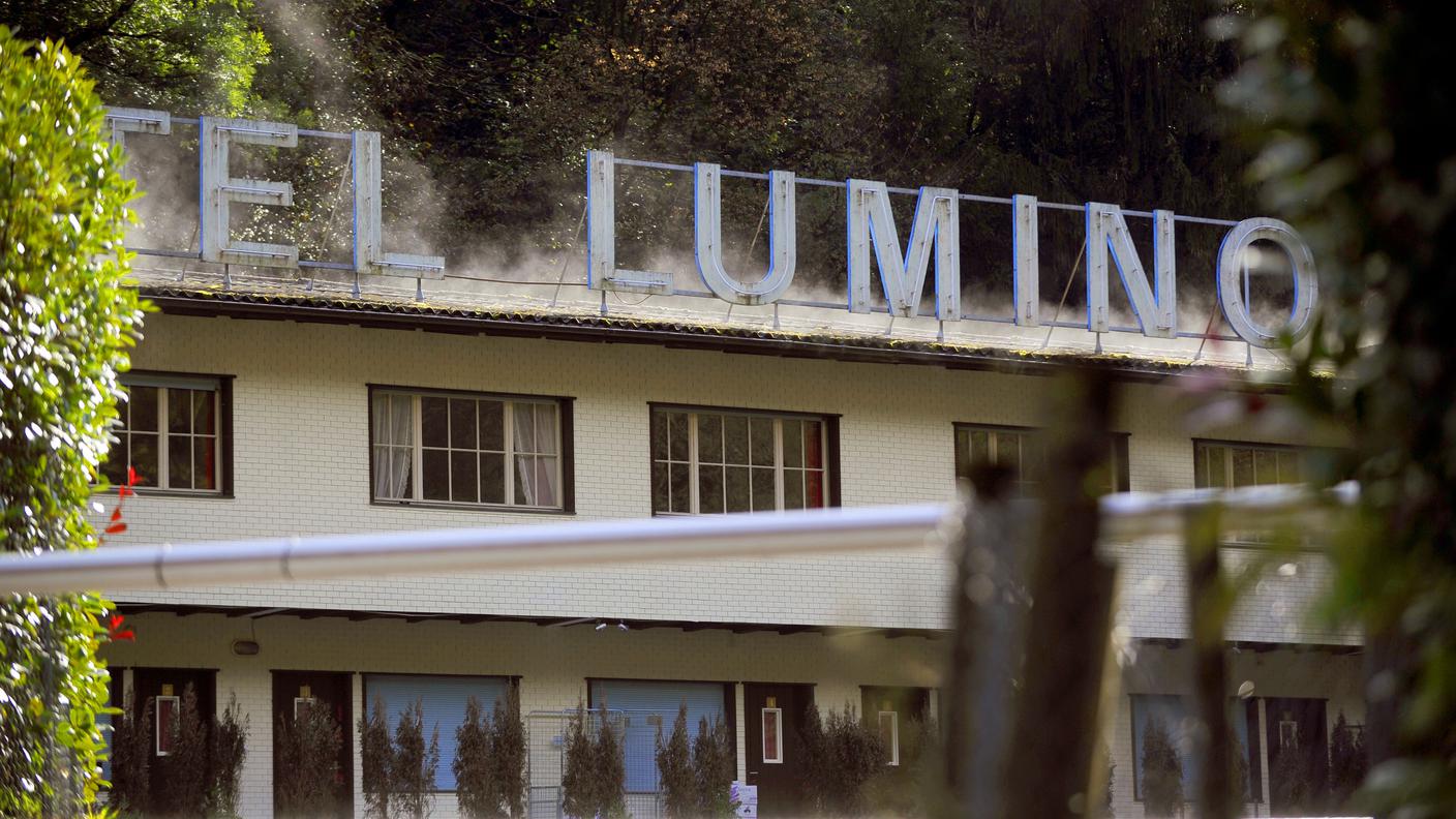 lumino's 2 tp.jpg