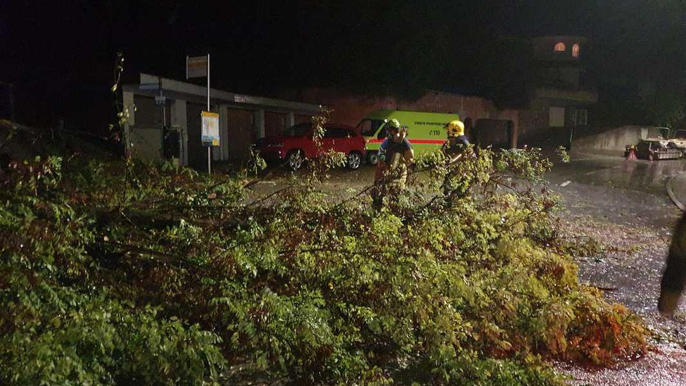 I pompieri di Melide impegnati a rimuovere alberi caduti sulla cantonale