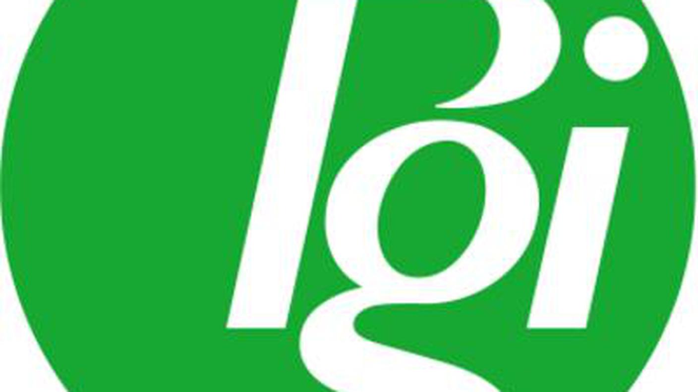 Logo Pgi.jpg